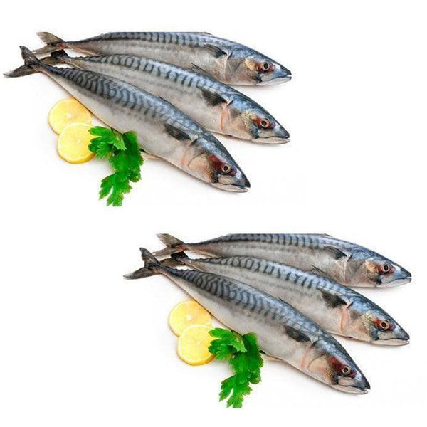 Mackerel Fish 900g To 1KG - Frozen × 2 Pcs (Offer)