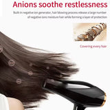 Daling Pro Design Professional Hair Dryer 2200W DL-3028