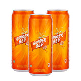 Ginger Bev Spicy-Sweet Drink - 330ml (2+1) Offer