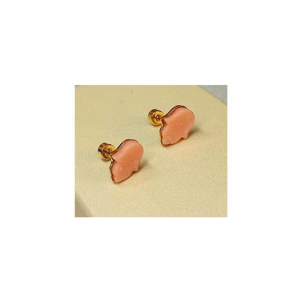 Golden Stainless Steel Stud Earings - 053