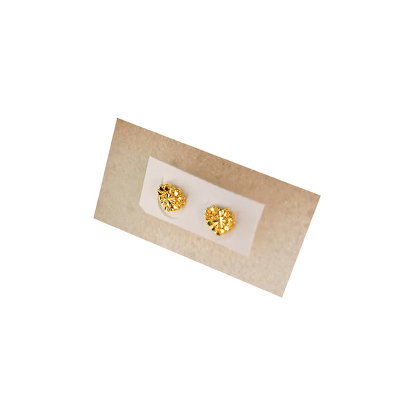 Golden Stainless Steel Stud Earings - 063