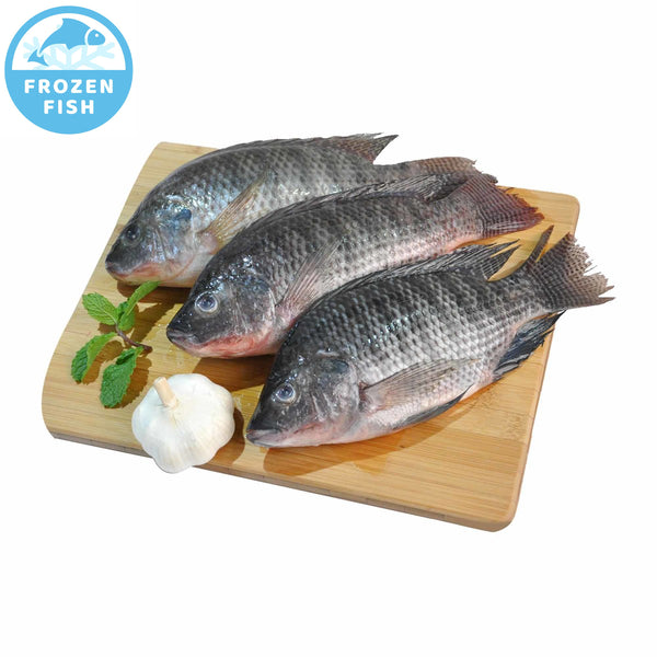 Tilapia Fish Fresh Frozen - 400 to 600g