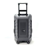 QL 2000W Stereo Wireless Portable Speaker 12" With Mic QL-1205