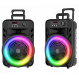 QL 2000W Stereo Wireless Portable Speaker 12" With Mic QL-1205