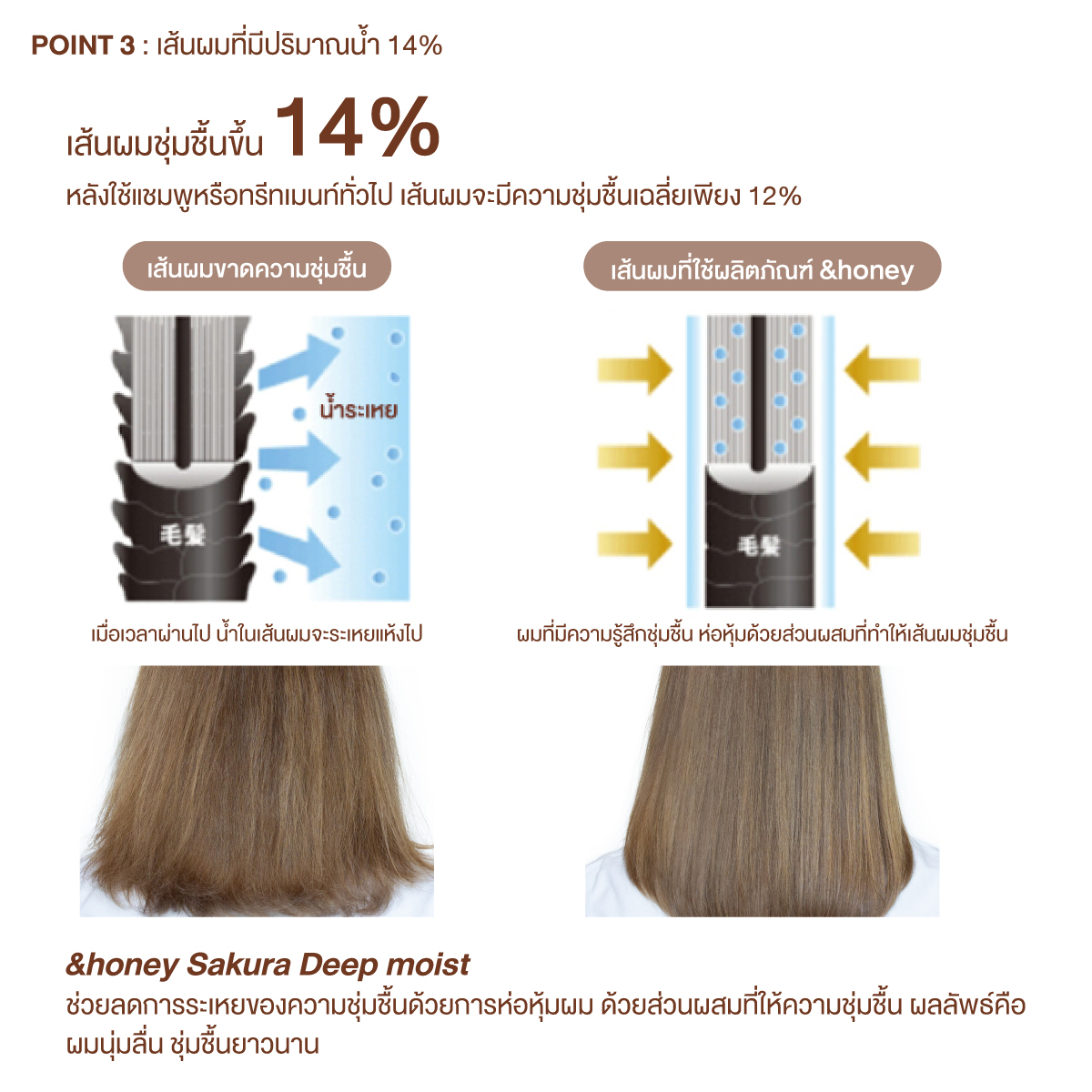 ViCREA & Honey Deep Moist Shampoo 1.0 + Treatment 2.0 Set (Japan)