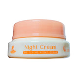 Perfect Skin Brightening Night Cream - 10g