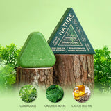 Disaar Usnea Grass & Cacumen Biotae Shampoo Bar - 120g