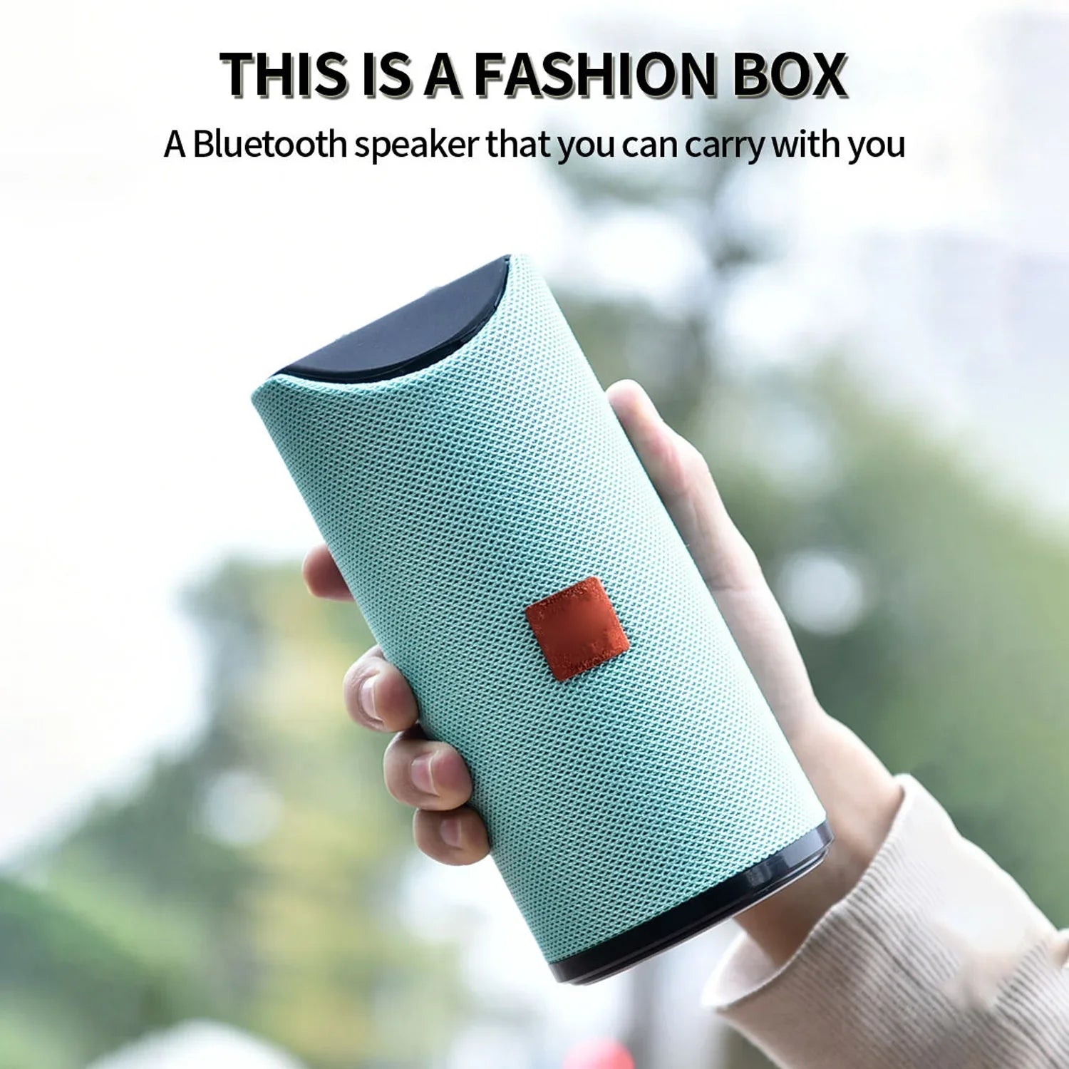 Portable Wireless Bluetooth Speaker - 113