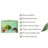 Ling Zhi Chuang Yao Wan Plus (Ganoderma Ginseng)