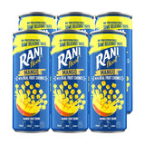 Rani Float Mango Fruit Drink - 240ml × 6 Pcs (Offer)