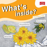 Fitne Herbal Infusion Chrysanthemum Flavored Tea - 2.5g × 15 Sachets