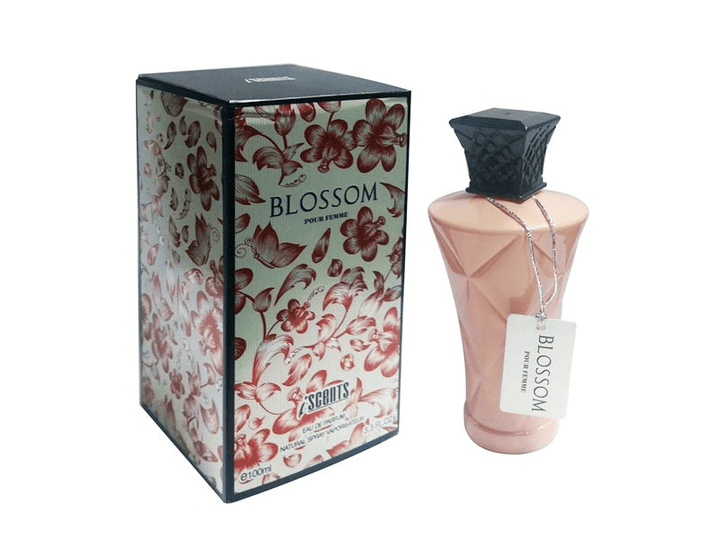 Blossom & Dark Knight Women Perfumes 1+1 PR-8 - Pinoyhyper