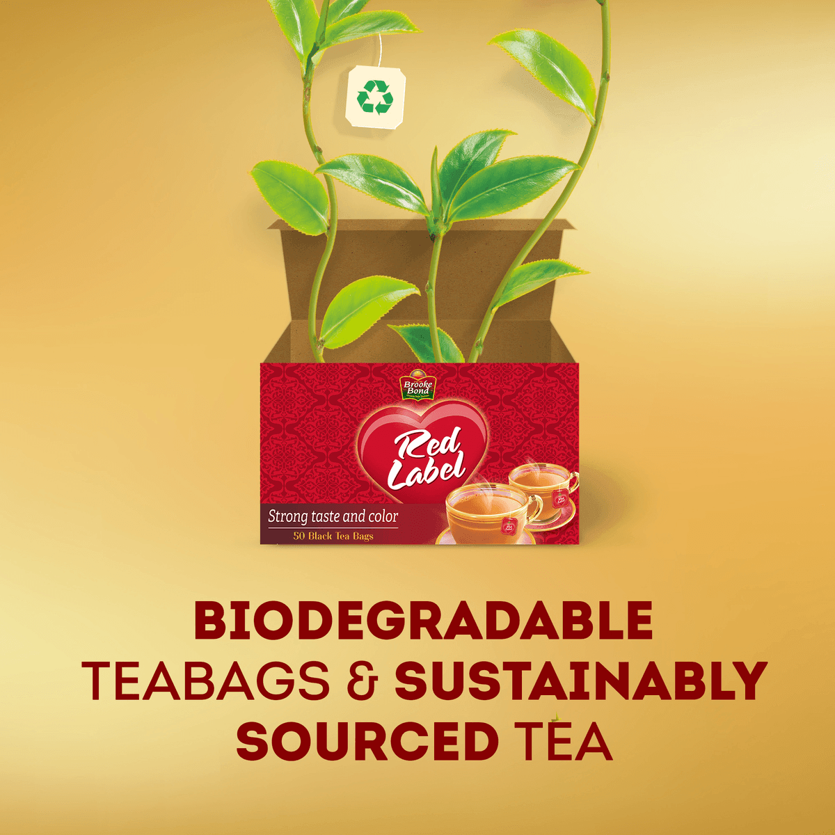 Brooke Bond Red Label Black Loose Tea - 200g - Pinoyhyper