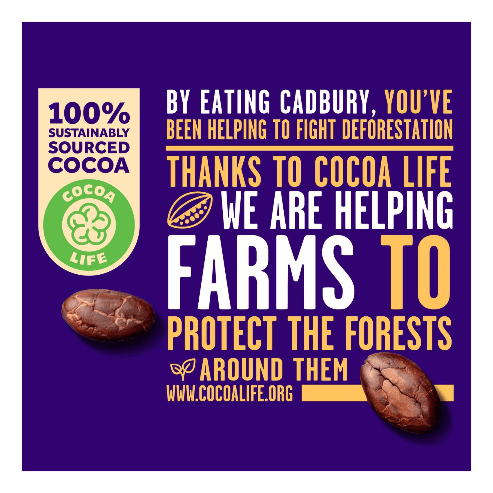 Cadbury Dairy Milk Hazelnut Chocolate Sharing Pack - 2 × 168g - Pinoyhyper