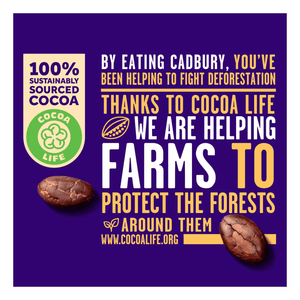 Cadbury Dairy Milk Hazelnut Chocolate Sharing Pack - 2 × 168g - Pinoyhyper