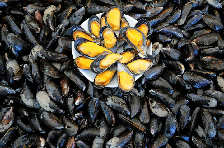 Canadian Natural Mussels - 908g (Frozen) - Pinoyhyper