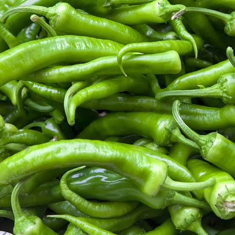 Green Chili - 150g
