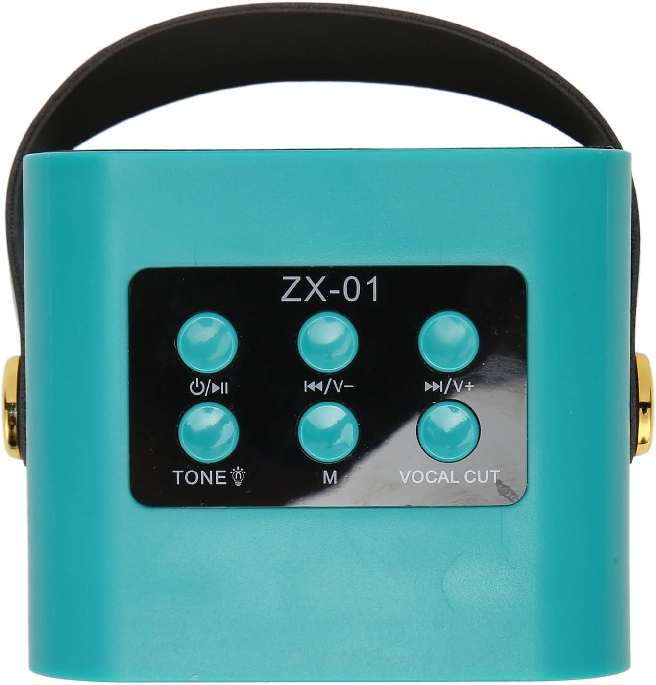 Amazon.co.jp: JAUYXIAN D17G-T ミニカラオケマシン、ポータブル