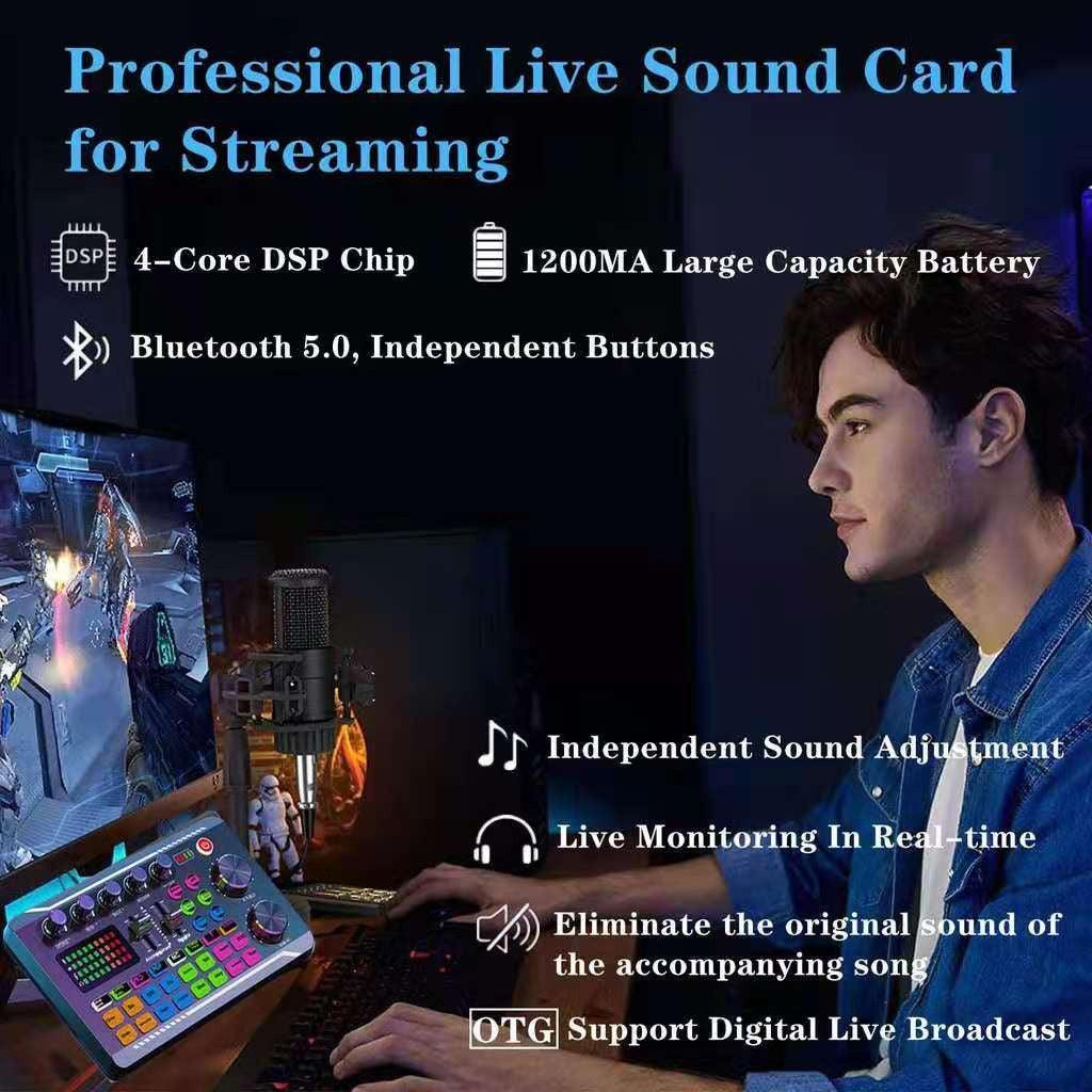 Condenser Microphone BM800 + F66 Version Sound Card Complete Set - Pinoyhyper