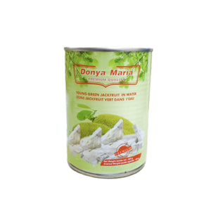 Donya Maria Green Jack Fruit In Water - 565g - Pinoyhyper