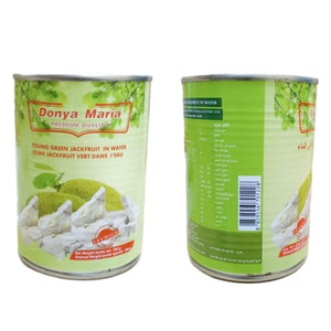 Donya Maria Green Jack Fruit In Water - 565g - Pinoyhyper