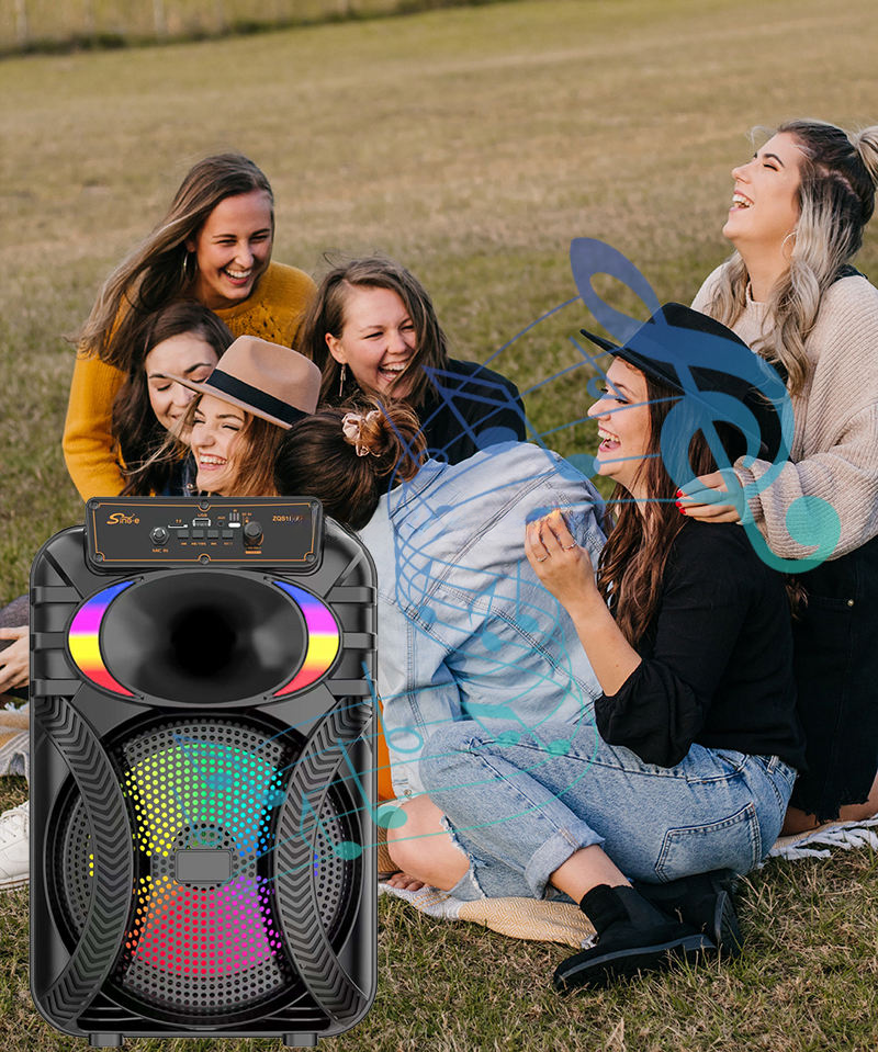 Sing-e Multimedia Hifi Super Bass Speaker - ZQS10101