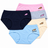 Women’s Cotton Modal Brief Panties 3 Pcs Set - 8671