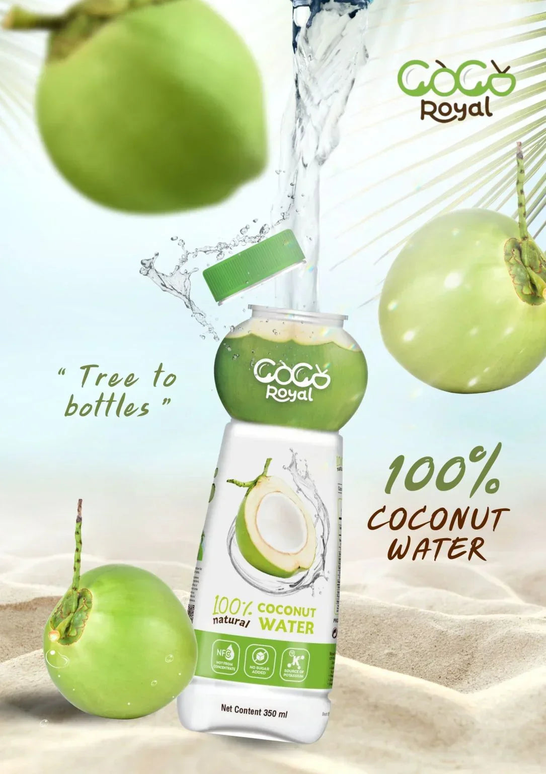 CocoRoyal 100% Natural Coconut Water - 350ml × 3 Pcs (Offer)