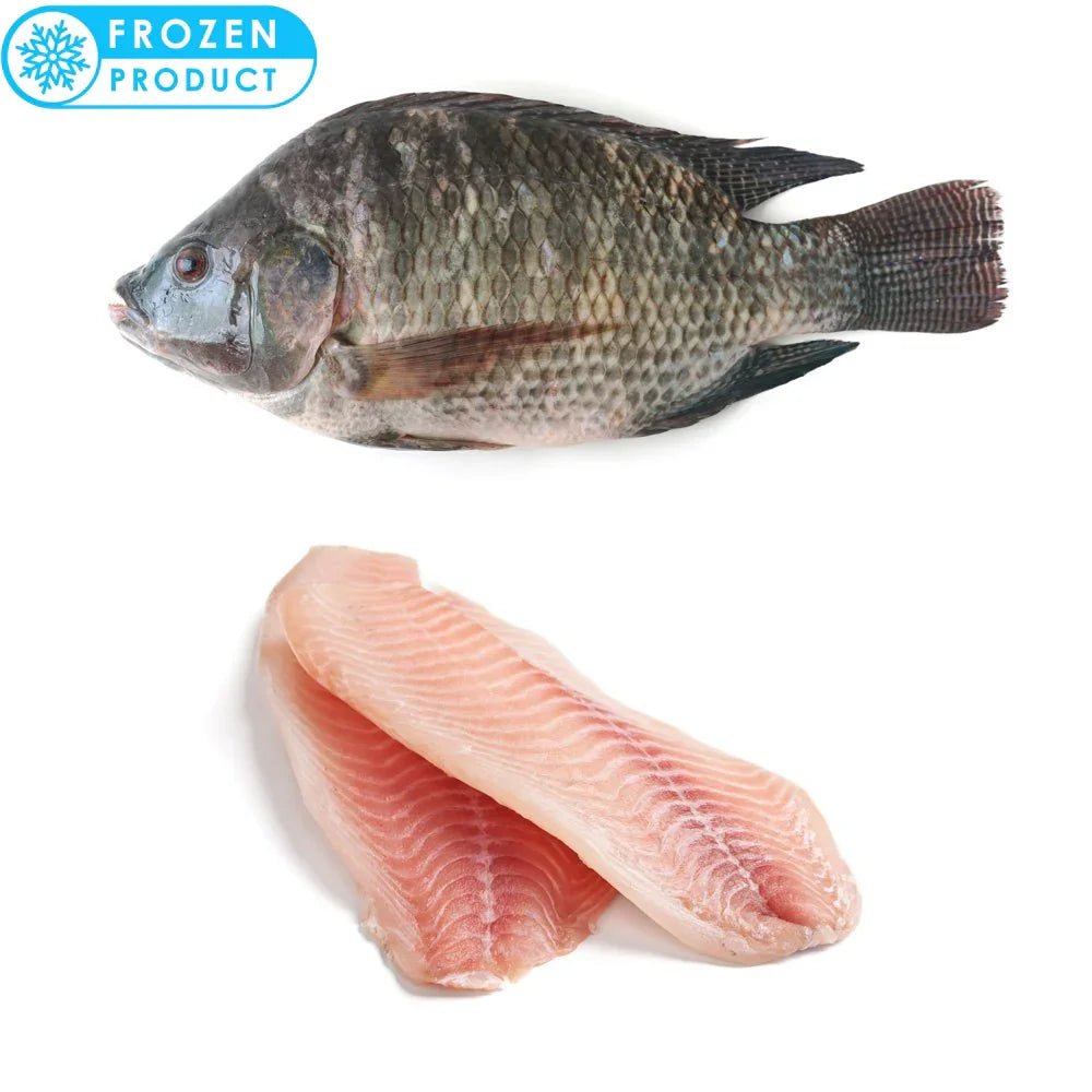 Tilapia Fish Frozen - 900 to 1 Kg