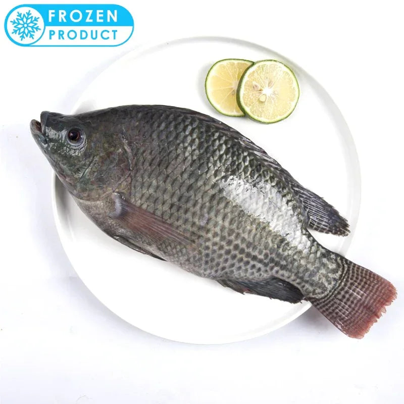 Tilapia Fish Frozen - 900 to 1 Kg