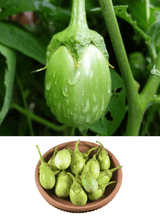 Green Eggplant - 500g