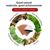 FAREJIANGTIE Pain Relief Ginger Patches