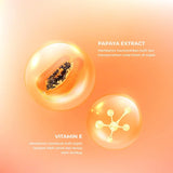 RDL Papaya Extract Night Cream - 48g