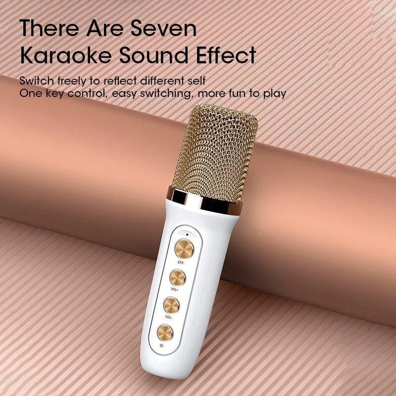 Smartbarry Portable Karaoke Speaker With Microphone YS-101