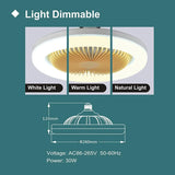 Multifunction Modern Ceiling Fan With LED Lamp