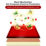 FAREJIANGTIE Pain Relief Ginger Patches