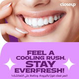 Closeup Triple Fresh Gel Toothpaste Eucalyptus Freeze - 156g