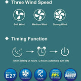 Multifunction Modern Ceiling Fan With LED Lamp