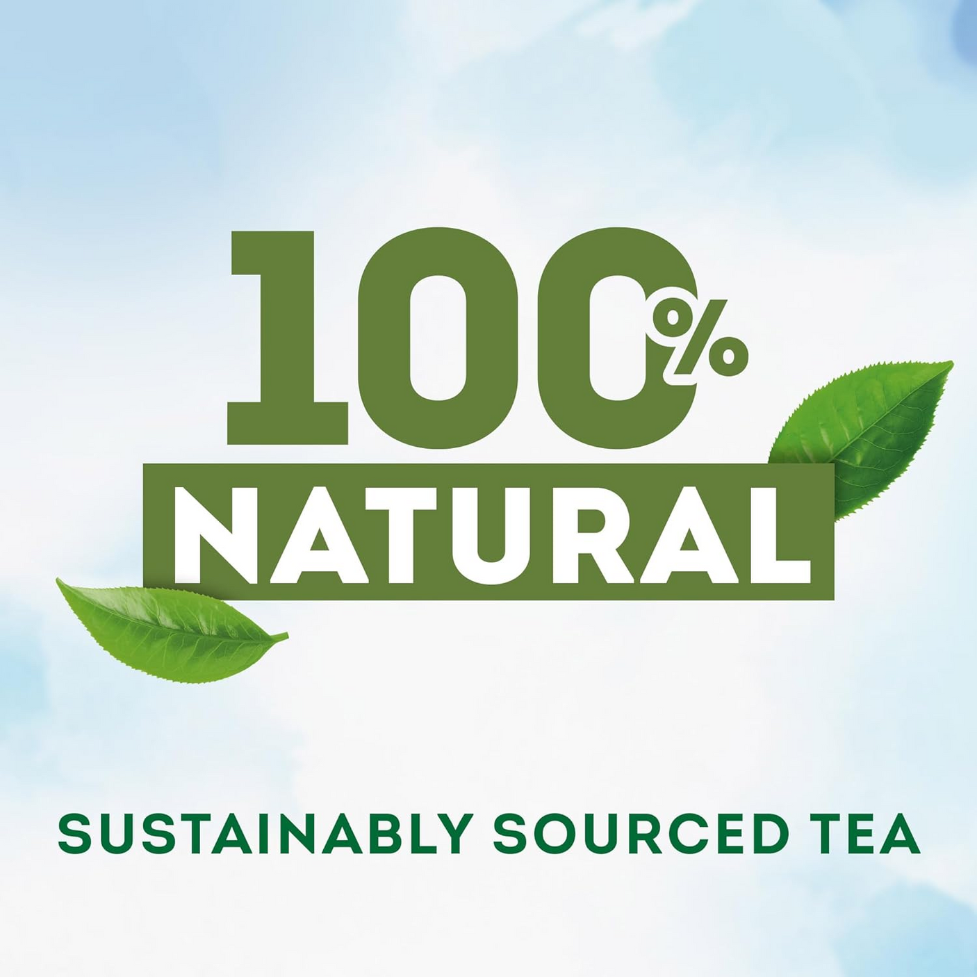Lipton Magnificent Matcha Green Tea - 20 Bags × 1.5g (30g)