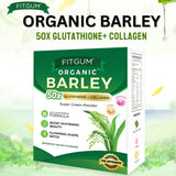Fitgum Organic Barley Super Green Powder - 3g × 15 Packs