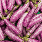 Long Eggplant (Aubergine) - 250gm