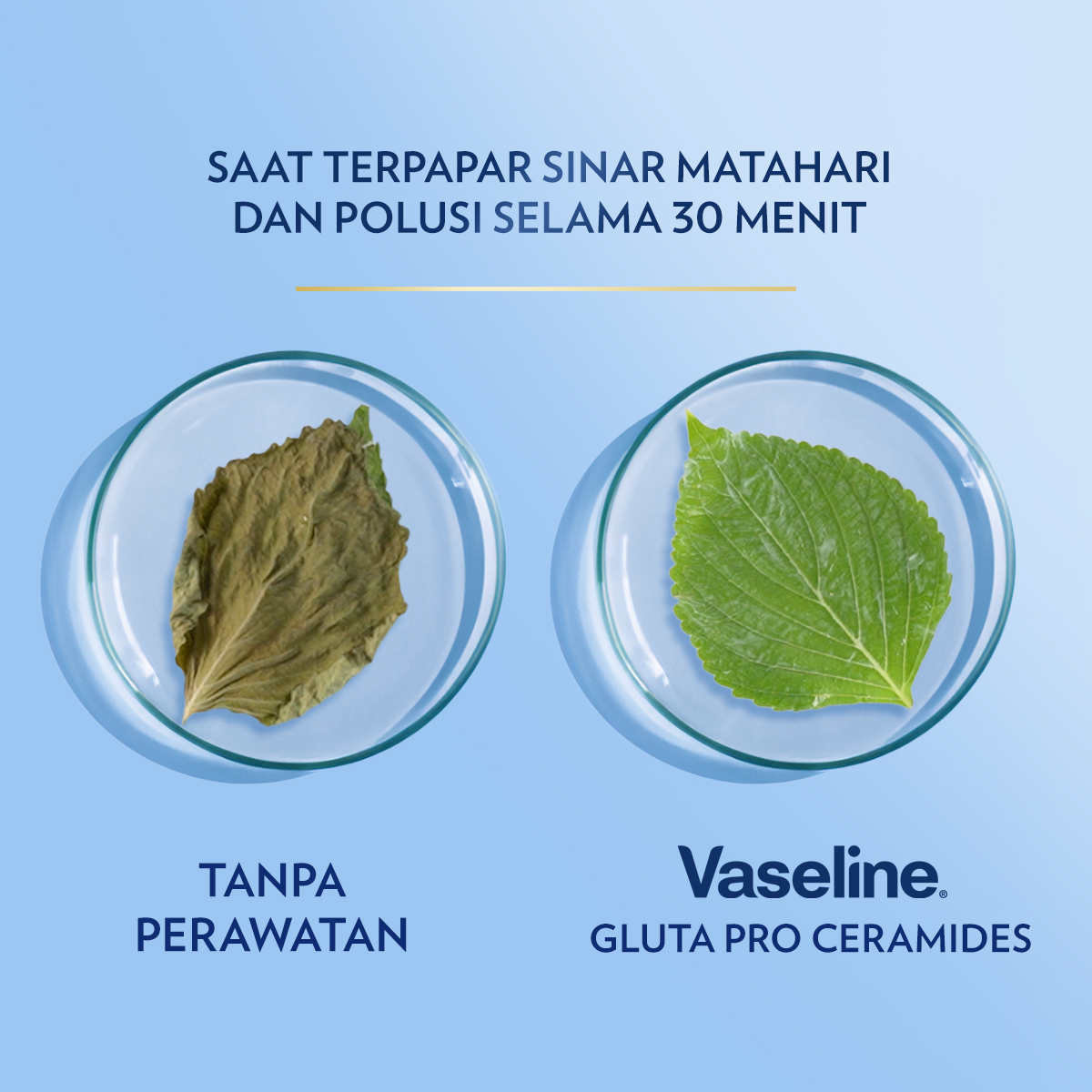 Vaseline Sun + Pollution Protection Lotion SPF 24 - 200ml