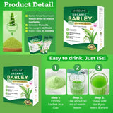 Fitgum Organic Barley Super Green Powder - 3g × 15 Packs