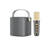 Smartbarry Portable Karaoke Speaker With Microphone YS-101