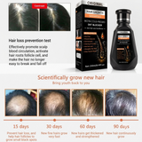 Formbo Original Hair Growth Shampoo DHT Blocker - 250ml