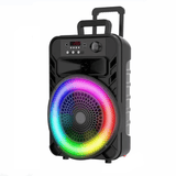 QL 2000W Stereo Wireless Portable Speaker 12" With Mic QL-1205
