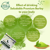 مشروب الشعير المجفف العضوي المجفف Saludable Premium Barley Premium - 3 جرام × 10 أكياس