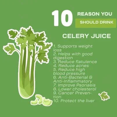 Jan's Freeze-Dried Celery Powder - 100g