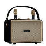 Booms Bass Stereo Outdoor Karaoke With 2 Microphones - M4202+