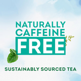 Lipton After Meal Herbal Infusion Tea - 20 Bags × 1.5g (30g)